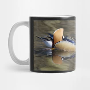 Mandarin duck on water with reflection Mug